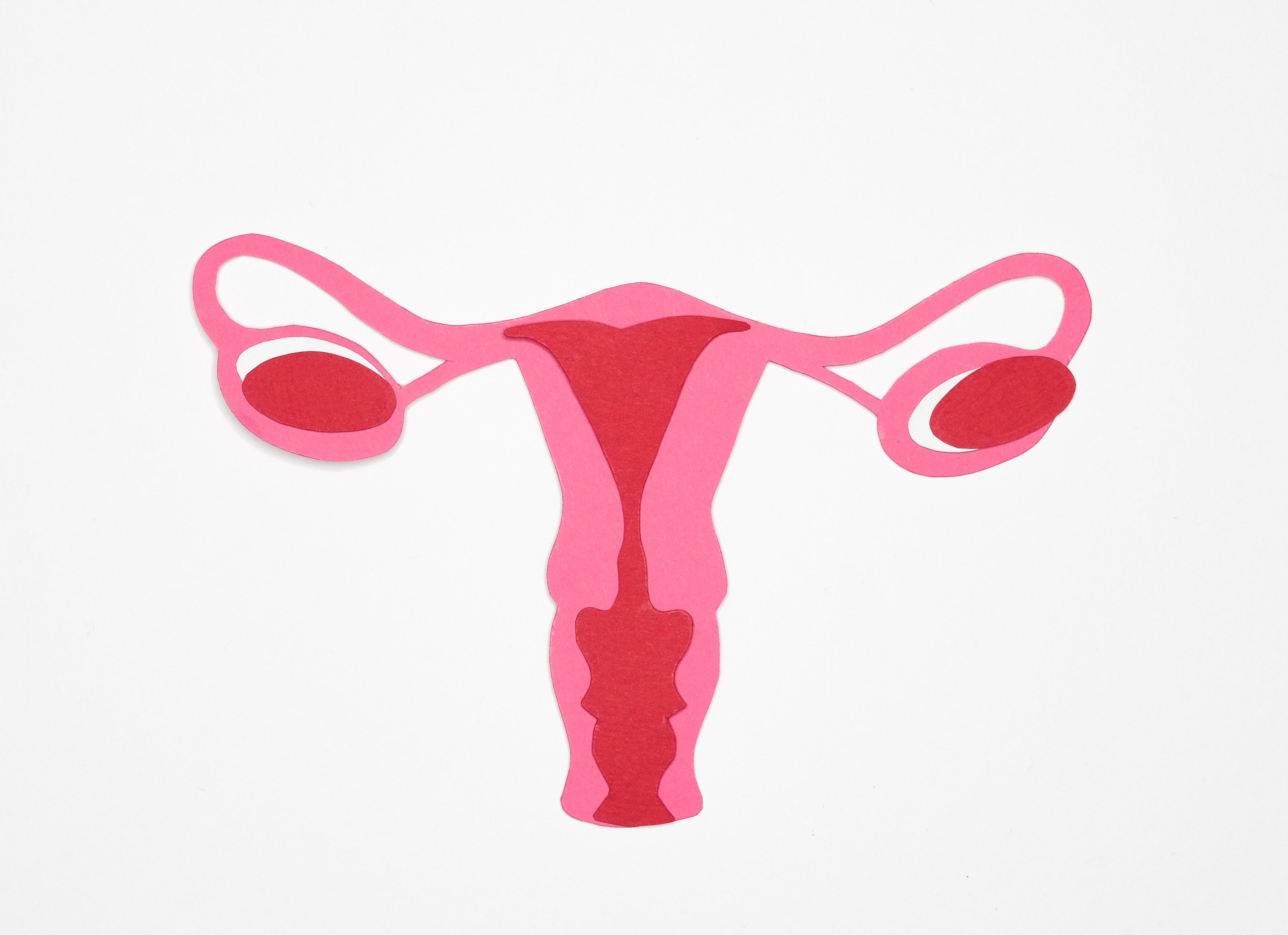PCOS uterus womb